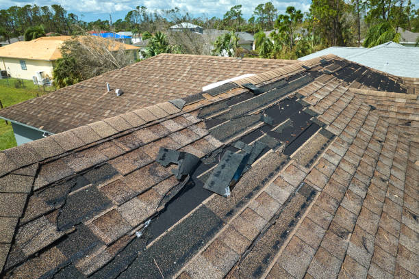 Roofing Contractor